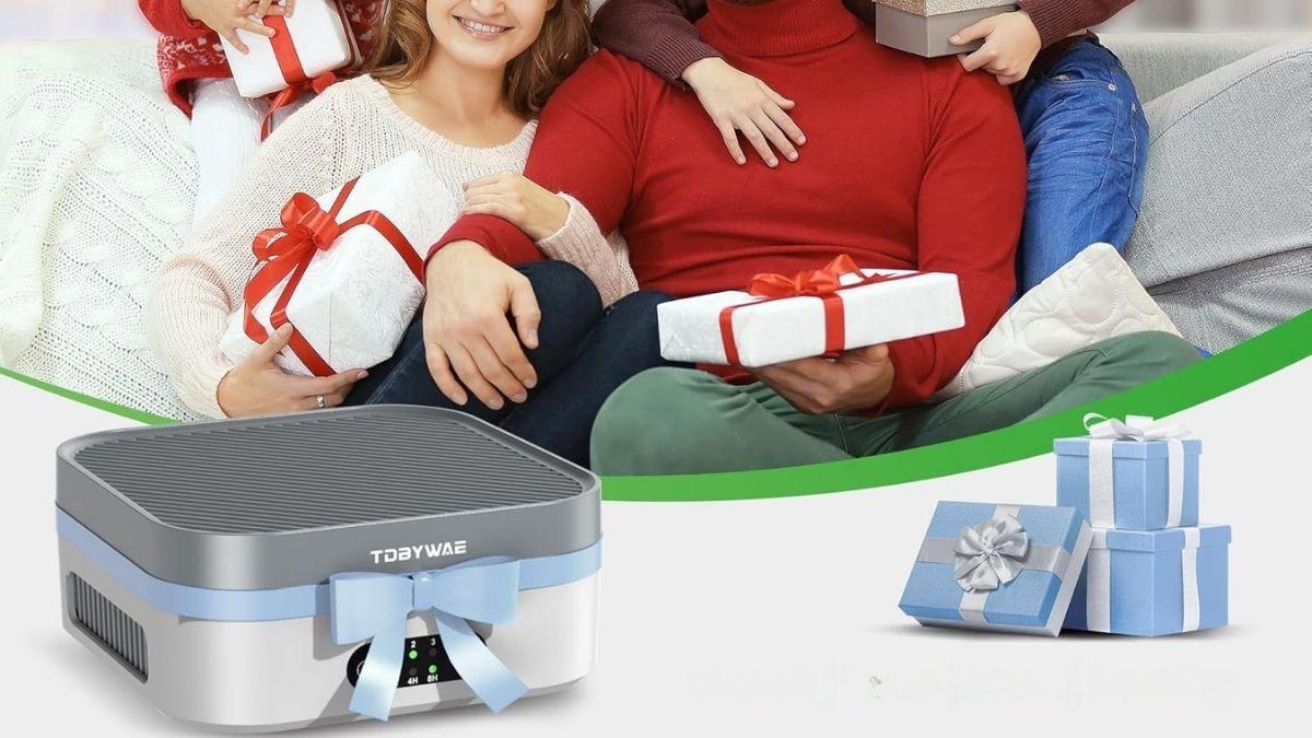 image for TDBYWAE Air Purifier for Home: A Smart Choice for Cleaner Indoor Air