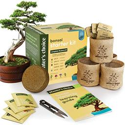 item search image for Bonsai Starter Kit - Gardening Easter Gift for Women & Men - Bonsai Tree Growing Garden Crafts Hobby Kits for Adults, Unique DIY Hobbies for Plant Lovers - Unusual Christmas Gifts Ideas