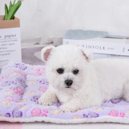 item search image for Cats Bed Pet Products Beds & Furnitures House Bed & Furniture Basket Warm Accessories Sofa Cushions Pet Home Cushions Products